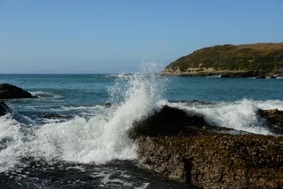 DSC_2672 (Large).JPG